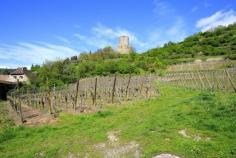 
                    
                        Route des vins d'Alsace
                    
                