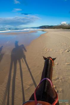
                    
                        Rainbow Beach Horse Rides, Queensland, Australia
                    
                