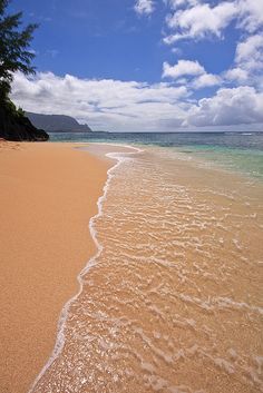 
                    
                        I WAS HERE LAST SUMMER...BEAUTIFUL... Hideaways Beach, Kauai, Hawaii
                    
                