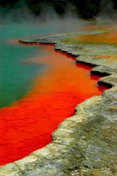 
                    
                        Waiotapu Thermal Reserve, Rotorua, New Zealand﻿ ღMiss RedRoseღ﻿ (Lyrose) - Google+
                    
                