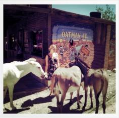 
                    
                        One of the quirkiest features of old Route 66: The Wild Donkeys of Oatman, Arizona
                    
                