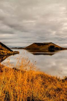 
                    
                        The pseudo-craters of Lake Myvatn in Iceland
                    
                