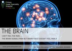 #‎the‬ brain
can't feel the pain...
the brain signals pains but brain itself doesn't feel pain.
http://goo.gl/kc7UGy