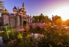 
                    
                        Is Disneyland About to Expand?
                    
                