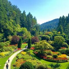 
                    
                        The Butchart Gardens, Brentwood Bay, British Columbia - Butchart...
                    
                