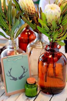 elk print with bottles of proteas.