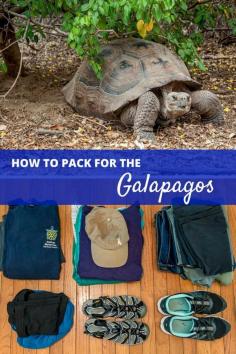 
                        
                            Deciding what to pack for a trip to the Galapagos Islands and mainland Ecuador can be challenging. Here are our tips on packing for this trip of a lifetime | What to Pack for Ecuador and the Galapagos
                        
                    