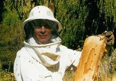 
                    
                        Hampton Hives : Nikolai the Apiarist  - Raw local honey, cold pressed and in the comb
                    
                