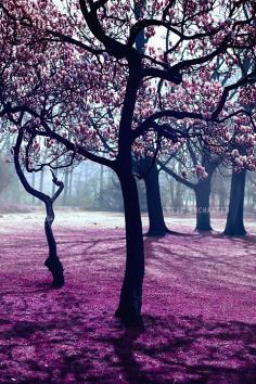 
                        
                            ~~Pink blossom by Elise Enchanted~~
                        
                    