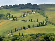 
                        
                            Walkabout Tours  The Best of Tuscany Tour - Siena, Chianti vineyard, San Gimignano, Pisa
                        
                    
