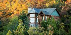 
                    
                        Bunk up and get down with nature. Log cabin getaways...could there be a more perfect vacation!
                    
                