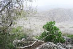 
                    
                        Climbing Mount Christoffel – Curacao
                    
                