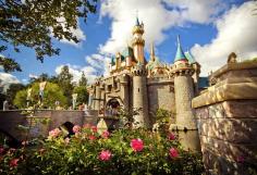 
                        
                            I've totally done several or these.The Disneyland Bucket List: 40 Things You Need to Do Before You Die
                        
                    