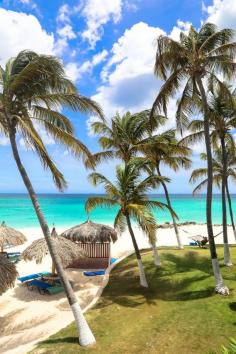 
                    
                        ARUBA, baby! Divi Aruba All-Inclusive Resort is perfect for sun, sand and all-you-can-eat and drink relaxation!
                    
                