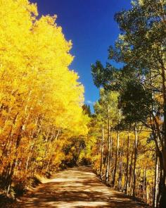 
                        
                            Fall in Breckenridge, Colorado
                        
                    