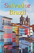 One of Brazil's greatest legacies is the heritage and natural beauty of the Northeast Region. Once little more than forgotten hinterlands, the Northeast today has a number of prosperous cities and amazing cultural diversity. Apart from the tropical warmth and the customary cordiality of the local population, it is difficult to generalize about the region. There are infinite variations on the cuisine, but it revolves around basic themes such as shellfish along the coast, rustic inland dishes, such as sun-dried beef (carne de sol), and manioc served everywhere in its various forms. The coastline offers mangrove and coconut groves, the beaches with different textures of sand, different water colors, some with dunes, some with coral reefs, some with transparent deltas and sand bars, some crowded, some deserted. This book focuses on the Lower Northeast and Salvador. This region includes grand old Bahia state, with its famous and sophisticated capital of Salvador, the site of much South American history, and a coastline dotted with spectacular beaches and inland destinations. Salvador is one of Brazil's top destinations for beaches and cultural life. The rich Colonial past dotted Salvador with churches and fortresses, giving this colorful city a romantic backdrop. The tropical climate, easy-going style of the baianos and baianas, and sultry nightlife make Salvador immortal in the Brazilian imagination. Colonial history began when Portuguese explorer Tome de Souza built up Salvador da Bahia in 1549 as the Governor-General of the Brazilian colonies shortly after the arrival of Europeans. Salvador claims to have the only truly medieval castle in Brazil from this period. Most people want to enjoy the beaches, and if this is your goal you might consider one of the excellent resorts or side-trips to the Coconut Coast, a day-trip to Itaparica Island or even catch a ferry or single-engine air-taxi to whisk you to the Dende Coast for a two- or three-day side-trip. Scuba diving.