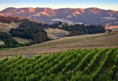 This hour-long flight will take you visit the Sonoma valley and enjoy the great view of San Francisco