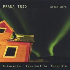 Prana Trio is an eclectic ensemble comprised of Brian Adler (Drums), Sunny Kim (Voice & Effects), and Evan Halloin (Bass). The trio's debut album, After Dark, has just been released by Circavision Productions and features pianist Frank Carlberg. In celebration of this release, they were featured on NPR's radio show 'Eric in the Evening,' and on KSFR's Jazz Ho Down. Prana Trio has performed at the Knitting Factory, the Zeitgeist Gallery, the Stinger Bar, the Lizard Lounge, the world renowned Jordan Hall, as well as many other venues on the East Coast. Guests such as guitarist Dave 'Fuze' Fiuczynski of the 'Screaming Headless Torsos' and pianist Ran Blake have joined them in concert. Prana Trio attracts large audiences who are often enthralled by the way in which their music parallels a dreamlike journey as it passes through many different sonic landscapes. From the beginning, one of Prana Trio's main focuses has been to compose songs and take improvisatory departures through the use of ancient sacred texts such as the poetry of Rumi, Hafiz and Lao Tsu. In 2003, Prana Trio was selected by the New England Conservatory to represent them as their Honors Ensemble. Here is what musicians have been saying about Prana Trio: 'Apart from the norm which can be average these days, Brian has put together three very forward thinking individuals. Based on their concept, they are representing the music on the highest level. It's pure musical theater, and that's what we need. The cool jazz days are over. They are taking the listeners on a trip and before they know it, they are on a journey. Sunny sounds like a horn player. Evan is getting an amazing sound out of the bass. Brian is playing at an extremely high conceptual level.' ~Cecil McBee- Jazz Bassist, Member of bands led by Miles Davis, Elvin Jones, Sam Rivers, and Michael Brecker. 'The group is a nightmare journey from SoHo to Twin Peaks.' 'Music to steal for.' 'A trio that's unlike any other. All three are very strong.' ~Ran Blake-pianist, writer of Primacy of the Ear
