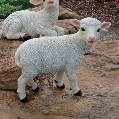 Cast in high-quality designer resin. Enhanced with hand-painted white. Features a baby lamp standing with front legs slightly apart. Adds a distinctively European touch to your lawn or garden. Dimensions: 15W x 5D x 13H in. Mary's little lamb. The Design Toscano Yorkshire Lamb Garden Statue - Standing Lamb is adorable. This life-like little lamb is artfully carved and impeccably detailed. It's made of weather-resistant designer resin and hand-painted to bring out each detail. Perfectly sized for indoor or outdoor decorating. About Design ToscanoDesign Toscano is the country's premier source for statues and other historical and antique replicas, which are available through the company's catalog and website. Design Toscano's founders, Michael and Marilyn Stopka, created Design Toscano in 1990. While on a trip to Paris, the Stopkas first saw the marvelous carvings of gargoyles and water spouts at the Notre Dame Cathedral. Inspired by the beauty and mystery of these pieces, they decided to introduce the world of medieval gargoyles to America in 1993. On a later trip to Albi, France, the Stopkas had the pleasure of being exposed to the world of Jacquard tapestries that they added quickly to the growing catalog. Since then, the company's product line has grown to include Egyptian, Medieval and other period pieces that are now among the current favorites of Design Toscano customers, along with an extensive collection of garden fountains, statuary, authentic canvas replicas of oil painting masterpieces, and other antique art reproductions. At Design Toscano, attention to detail is important. Travel directly to the source for all historical replicas ensures brilliant design.