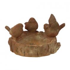 Enjoy gazing at and feeding a wide variety of birds in your own backyard with this stoneware bird feeder. Made of high quality stoneware this bird feeder will last for years. Polished in antique rustic color palette this bird feeder is beautiful and complimentary to outdoor decor. This bird feeder features a concentric circle pattern inside wherein you can keep bird s food and allow them to have all of it efficiently. On this stoneware bird feeder perches a tiny bird that is of lighter weight and easy to transport from a spot. The classic and reliable style will support ever changing trends and regular years in years to come. Guests and other visitors paying a visit to your place will be surprised to come across such a wonderful stoneware bird feeder and will praise you for the same. Did you get this stoneware bird feeder Polished in antique rustic color palette Country of Origin: China Depth: 9 Height: 5-1 2 Material: High Quality Ceramic Width: 8 -1 2