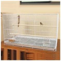 Petco Designer White Finch Flight Cage - Finch Bird Cage & Flight Bird CageGive your little birds room to spread their wings with the Petco Designer White Finch Flight Cage. This spacious finch bird cage allows ample flight space, which is vital to the health and overall wellbeing of finches and many other small pet birds. Its pristine white color will easily match the d,cor of any room. This designer finch bird cage comes complete with two perches and two food/water dishes. The long perches give your feathery friends a nice resting spot and provide enough room for multiple birds to rest together without crowding. Each food or water dish can be covered to seal in the freshness of the bird food. The covers also work to prevent any bird droppings, waste, feathers and other debris from contaminating the water or food. Cleaning bird cages is a chore for most pet parents, but the Petco Designer White Finch Flight Cage makes cleaning as hassle-free as possible. This flight bird cage includes a pull-out tray so you can dump out all the soiled flooring material, give it a thorough scrub and add new flooring in just a matter of minutes. This flight bird cage features a large front door so you have easy access to pets. The Petco Designer White Finch Flight Cage also features two smaller doors so you can easily refill your bird's food and water bowls without risking a pet escape. This flight bird cage can comfortably hold several small birds, including finches. Its simple design will blend easily in almost any room of your home and will provide a safe environment for your pet birds. Setup is simple and requires no tools. You can easily put it together right out of the box and then go meet your new chirping companion. Give your pet bird a reason to sing with this spacious, enjoyable and stylish finch bird cage from Petco.