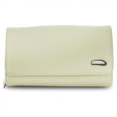 All youll need to get from here to there Product Information The Travelon Leather Purse is the perfect little companion for shopping day trips and evenings out. Use it as a clutch or shoulder bag as you travel and enjoy all of its special compartments and pockets for all your essentials. In a snap you can access your checkbook or slide out your cards from the multiple card slots. It includes pockets for your lipstick and cell phone a pen loop and a zippered wall pocket for a compact notebook coupons or receipts. This spacious purse even includes a removable LED light to view your items with ease as well as a small mirror for makeup touch-ups and more. Product Features Perfect purse for shopping day trips and evenings out Use it as a clutch or shoulder bag with removable strap Fits all your travel essentials Constructed of durable yet soft leather Includes removable LED light and small mirror Checkbook cover Multiple card slots Pen loop Zippered compartment Cell phone pocket Lipstick loop Slide pocket Specifications Color: Cream Dimensions: 7.5 x 5.0 x 1.5 (L x W x D Approx.) Exterior Material: Leather Interior Material: 100% Nylon Trim Material: PVC Item Condition: New