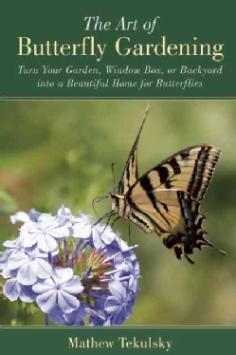 Butterfly gardening is the practice of attracting beautiful butterflies to your garden by growing common plants and flowers that they use for food and nectar. This fun and wonderfully simple activity will bring color, light, and beauty to your garden and home. With the relaxing and rewarding qualities of this outdoor hobby, it's not hard to see why it's sweeping the nation and growing in popularity. Mathew Tekulsky's The Butterfly Garden is a complete, step-by-step guide to gardening for butterflies. You'll learn about: The butterfly life cycle, habitats, and behaviors Choosing and obtaining food and nectar sources Designing your garden Options for country, suburban, and city gardens Fifty common garden butterflies and the plants they like Butterfly observation and conservation This guide will teach you everything you need to get started-whether you're a suburban resident, the owner of a small urban garden, an apartment dweller, or a keeper of a country estate, you can enjoy frequent butterfly visits to your garden or window box. The key, Tekulsky believes, is learning some basic knowledge of butterfly characteristics and behavior and knowing how to meet the needs of the butterfly species most common in your neighborhood. Not only is butterfly gardening one of the easiest ways to enjoy these enchanting creatures, but it's also a wonderful way to help conserve natural butterfly populations for generations to come. Learn how to create your own beautiful butterfly garden today!