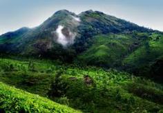 Kerala is one of the best tourist destination .