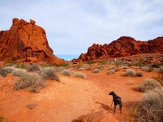 Photo of The Valley of Fire 3/4 by Janet Smith