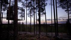Tree Hotel Mirror Cube