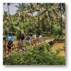 Village vistas of Cansaulim
A sneak peak into the picturesque village of Cansaulim. Meet the welcoming locals and know all about their culture and traditions.

#letsblive #funoverfuel #fun #ev #ecotourism #eco #tours #ebikes #discovery #goavibes 