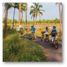 Hidden Hues of Rachol
On your Rachol ride, get greeted with the smell of freshly baked bread and be awed by the stories about Our Lady Of Snows, the oldest church of South Goa.

#letsblive #funoverfuel #fun #ev #ecotourism #eco #tours #ebikes #discovery #goavibes 