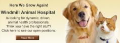Windmill Animal Hospital

We are AAHA accredited, assuring you that your pet will receive top-quality pet care. Come experience the finest Veterinary Clinic in Abilene Texas - Windmill Animal Hospital.

Address: 2 Windmill Circle, Abilene, TX 79606, USA
Phone: 325-698-8387
Website: http://www.windmillvet.com