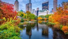 Autumn in New York - Central Park in Autumn