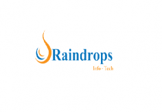 Website and App Development Company - Raindrops Infotech
https://www.raindropsinfotech.com/