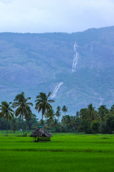 Experience the magic of Kerala with our Enchanting Kerala Tour Package, showcasing the best of nature, culture, and relaxation