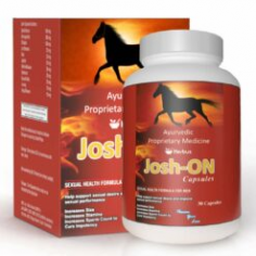 Natural Ayurvedic Viagra for Men: “Josh-On Capsule is also known as the best ayurvedic sex power capsule for men. It is a composition of multiple Ayurvedic herbs that are used from ancient times to improve the male health condition, stamina, strength, vigor, the vitality of an individual. https://www.ultrahealthcare.in/product/sex-power-capsule-josh-on/
