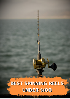 Looking for affordable spinning reels under $100? Check out Fishinges.com for the best selection! Our website features a detailed list of the top spinning reels that won't break the bank. With expert reviews and recommendations, you can find the perfect spinning reel for your budget and fishing needs. Visit Fishinges.com today and gear up for your next fishing adventure without overspending!