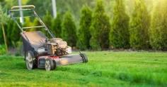 Complete Lawn Care Services That Keep Your Grass Green & Healthy
Choosing a local lawn care expert makes all the difference for long-term results. A lush, vibrant lawn doesn’t happen by chance; it requires consistent care, the right treatments, and a deep understanding of local conditions. From early spring preparation to late fall protection, a tailored approach helps maintain a rich green appearance while strengthening your lawn from the roots up.
Edmonton’s climate can be unpredictable, which is why localized knowledge is essential for proper fertilization, aeration, and maintenance schedules. With experienced lawn care in Edmonton, you can ensure your grass receives the nutrients and attention it needs to thrive throughout every season. A dedicated team understands soil conditions, weather patterns, and grass types specific to the area, allowing them to deliver more effective and lasting solutions.
Weeds are one of the biggest challenges homeowners face, often competing with healthy grass for nutrients and water. Reliable weed control in Edmonton focuses on eliminating invasive growth without harming your lawn. Through targeted weed treatment services, professionals can identify problem areas and apply precise treatments that stop weeds at the source, helping your lawn grow thicker and healthier over time.
Beyond weed control, comprehensive lawn treatment in Edmonton includes everything from soil enrichment to pest management and seasonal cleanups. With services designed to promote strong root systems and even growth, your outdoor space can become a place you’re proud to show off. Companies like Green Drop Lawns combine expertise with proven techniques to deliver lasting, noticeable improvements.
If you’re ready to transform your yard into a greener, healthier space, now is the perfect time to take action. Connect with trusted professionals offering lawn care tailored to your needs, because a beautiful lawn starts with the right care.