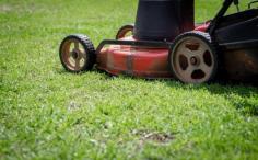 Lawn Care in Saskatoon by Experts for a Thick Green Lawn All Year
Maintaining a beautiful lawn throughout the year in Saskatoon takes dedication, knowledge, and consistent care. Many homeowners struggle to keep their grass healthy and green, especially with fluctuating seasonal conditions. This is where expert lawn care makes all the difference. Green Drop Lawns Ltd provides professional services tailored to the unique needs of Saskatoon lawns, ensuring your yard stays lush and vibrant year-round.
Our team focuses on essential lawn maintenance practices such as proper mowing, aeration, fertilization, and pest management. By combining these techniques with local expertise, we create the ideal conditions for thick, healthy grass that stands out in any neighbourhood. Homeowners often find that partnering with a trusted lawn care company in Saskatoon saves time, reduces stress, and ensures superior results compared to attempting DIY solutions.
Additionally, we understand that each lawn is unique. Our approach considers soil quality, grass type, and environmental factors to deliver customized solutions. From seasonal treatments to regular maintenance schedules, our lawn care services provide consistent, reliable care designed for both beauty and long-term health.
For those seeking hands-on support without the hassle, Green Drop Lawns Ltd offers efficient scheduling, friendly guidance, and expert advice at every step. Enhance your property's appeal and value while enjoying more free time. Discover professional lawn care tailored to Saskatoon’s climate and conditions by checking out our location today.