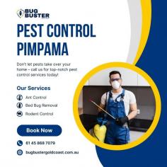 Looking for expert pest control Pimpama services? We offer reliable and affordable pest control solutions for homes and businesses in Pimpama. Our experienced technicians specialize in termite inspections, cockroach control, ant treatment, rodent removal, spider control, and complete pest management services. Using safe, eco-friendly products and advanced treatment methods, we provide long-lasting protection against unwanted pests. Whether you need a one-time pest treatment or regular maintenance, we are committed to delivering fast service and excellent customer satisfaction. Contact us today for professional pest control services in Pimpama and enjoy a healthier, pest-free environment.