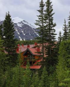 Stay at a Hotel Near Lake Louise with Comfort and Scenic Views
Lake Louise is one of Canada’s most iconic destinations, and staying nearby allows visitors to fully appreciate its unmatched beauty. Choosing the right hotel near Lake Louise ensures easy access to scenic views, outdoor adventures, and a relaxing environment after a day of exploration.
A thoughtfully selected Lake Louise hotel offers more than just location—it provides a comfortable retreat surrounded by nature. Many accommodations feature cosy rooms, mountain-facing windows, and amenities designed to enhance relaxation. Whether enjoying a warm drink after a hike or simply taking in the view, the right setting makes every moment more enjoyable.
For travellers seeking a well-rounded experience, Lake Louise accommodation ranges from boutique lodges to larger resorts. Each option caters to different travel styles, whether it’s a romantic escape, a family holiday, or a solo adventure. Staying close to the lake allows for early morning visits before crowds arrive, offering a more intimate connection with the landscape.
Lake Louise is a destination that invites visitors to slow down and appreciate the natural world. From canoeing on the lake to exploring nearby trails, every experience feels more accessible when staying close by. The combination of comfort, scenery, and convenience makes choosing the right hotel an essential part of the journey.
If scenic views and comfort are priorities, now is the perfect time to decide on the ideal stay. Check the destination point here and secure a memorable Lake Louise getaway.