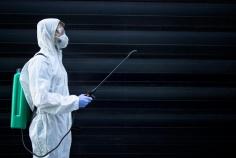 Quick and Reliable Pest Treatment in Red Deer to Protect Your Home
When pests invade your home, it can be overwhelming and stressful. That’s why Buzz Boss offers quick and reliable pest treatment in Red Deer, tailored to meet your specific needs. Whether you're dealing with a minor infestation or a larger pest problem, our team is equipped to handle it efficiently.
As a trusted pest control company in Red Deer, we understand the importance of providing fast and reliable service. We know that pests can cause significant damage, whether it’s to your property, your health, or your peace of mind. That's why we offer comprehensive pest management services to ensure that pests are removed safely and effectively, without disrupting your daily life.
Our pest extermination experts are fully trained to deal with all types of pests, from rodents and insects to termites and more. We use eco-friendly, safe, and highly effective treatments to address your pest concerns. With our team by your side, you can rest assured that your home will be protected from unwanted guests.
With Buzz Boss pest control in Red Deer, we provide thorough inspections, customized treatment plans, and preventative solutions to keep pests at bay. Whether you need a one-time treatment or ongoing pest management services, we are here to help.
Ready to reclaim your space from pests? Reach out to us today for a consultation and take the first step toward a pest-free home. Find us here and protect your home with expert pest control solutions.