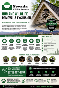 Nevada Wildlife Removal provides professional wildlife removal in Reno, NV to help homeowners and businesses safely remove nuisance wildlife and protect their properties. Their humane services include inspection, animal removal, exclusion, cleanup, and prevention for raccoons, squirrels, bats, birds, rodents, and other unwanted wildlife. For service inquiries, call (775) 667-3797.