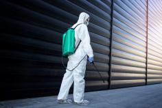 Fast and Reliable Pest Management Services Near You
Keeping a property free from unwanted pests requires more than a temporary fix. Whether dealing with insects, rodents, or seasonal infestations, professional solutions help create a healthier and more comfortable environment. At Buzz Boss, experienced technicians use proven pest extermination methods designed to identify the source of the problem and prevent future activity.
A reliable pest control company focuses on long-term protection rather than short-lived results. Through detailed inspections and customized strategies, every infestation can be addressed according to its severity and type.
From residential homes to commercial spaces, effective treatments help reduce the risks of property damage, contamination, and health concerns.
Professional pest control service providers understand that every situation is different. That is why tailored pest treatment plans are essential for achieving lasting outcomes. Combining modern techniques with industry knowledge allows specialists to handle a wide range of pest issues efficiently and safely.
Quality pest control solutions also involve preventative measures. Regular monitoring and pest management services help prevent infestations from becoming major concerns. This proactive approach saves time, reduces costs, and offers greater peace of mind for property owners.
If persistent pest problems are affecting your space, trust a dedicated local exterminator to deliver dependable results. Buzz Boss is committed to helping clients maintain clean, protected environments with professional care and attention to detail.