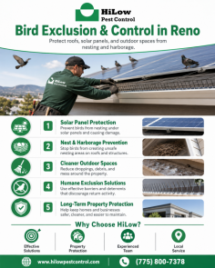 HiLow Pest Control provides professional bird exclusion & control in Reno to help protect homes, businesses, roofs, solar panels, and outdoor areas from bird nesting, droppings, and harborage issues. Their bird control solutions support cleaner, safer, and better-maintained properties with effective exclusion methods. For inquiries, call (775) 800-7378.