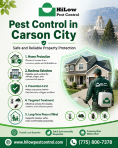 HiLow Pest Control provides professional pest control in Carson City to help homeowners and businesses protect their properties from unwanted pests. Their services focus on prevention, treatment, and long-term pest protection for cleaner, safer, and more comfortable spaces. For service inquiries, call (775) 800-7378.
