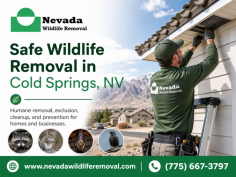 Nevada Wildlife Removal provides professional wildlife removal in Cold Springs, NV to help homeowners and businesses safely handle nuisance wildlife and protect their properties. Their humane services focus on inspection, animal removal, exclusion, cleanup, and prevention for issues involving raccoons, squirrels, bats, birds, rodents, and other unwanted wildlife. For service inquiries, call (775) 667-3797.