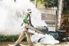 Need Pest Control in Edmonton? Get Fast, Safe & Affordable Expert Service
Living in Edmonton comes with its own set of challenges when it comes to pests, especially during seasonal shifts when insects and rodents look for warmth and shelter indoors. From ants and spiders to mice and wasps, infestations can escalate quickly if not handled with proper expertise. That’s where professional support makes a real difference, offering peace of mind through safe, efficient, and targeted solutions designed for local conditions.
Pests can become a problem at any time of the year, especially when changing seasons drive insects and rodents indoors in search of food and shelter. Whether it's ants in the kitchen, mice in the basement, or wasps around your property, acting quickly can help prevent minor issues from becoming costly infestations. That's why many homeowners and businesses turn to professional pest control in Edmonton for safe, effective, and long-lasting solutions.
Every property has different pest challenges, so choosing a service that begins with a thorough inspection is important. Experienced technicians identify the source of the problem, apply targeted treatments, and recommend practical prevention measures to reduce the risk of future infestations. Modern pest management focuses on delivering results while minimizing disruption to your home or workplace.
For homeowners, dependable residential pest control in Edmonton provides protection against common pests such as bed bugs, cockroaches, spiders, and rodents. Commercial properties also benefit from customized pest management plans that help maintain clean, safe environments for employees and customers while supporting industry hygiene standards.
With experienced professionals, proven treatment methods, and a focus on customer satisfaction, Buzz Boss helps property owners manage pest problems with confidence. Their team understands the seasonal pest activity common in the region and develops solutions tailored to each property's specific needs.
If you're looking for the best pest control in Edmonton, consider a company that values thorough inspections, transparent recommendations, and preventative care as much as effective treatment. Taking action early can protect your property, improve comfort, and help you maintain a healthier environment throughout the year.
Whether dealing with a sudden infestation or looking for preventative care, timely action is key to avoiding larger problems down the line. Safe and efficient pest management ensures healthier living spaces and greater comfort throughout the year.