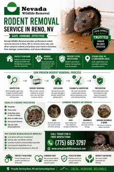 Nevada Wildlife Removal provides professional rodent removal service in Reno, NV to help homeowners and businesses safely remove mice, rats, and other nuisance rodents from their properties. Their humane and effective process includes inspection, rodent removal, exclusion, cleanup, and prevention to help protect your home from damage, contamination, and future infestations. For service inquiries, call (775) 667-3797.
